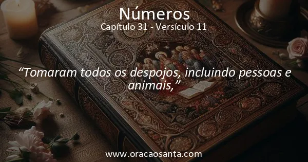 Números 31:11