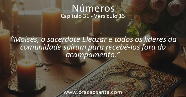 Números 31:13