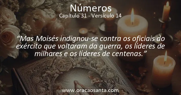 Números 31:14