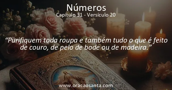 Números 31:20
