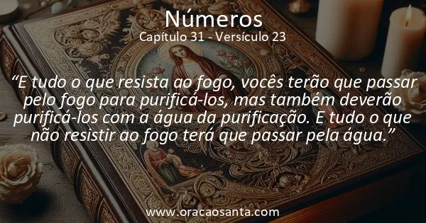 Números 31:23