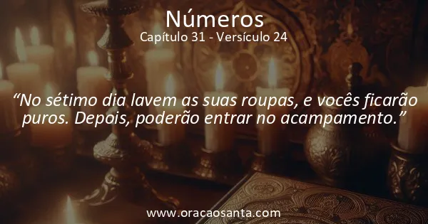 Números 31:24