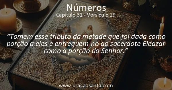 Números 31:29