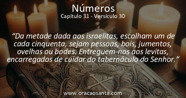 Números 31:30