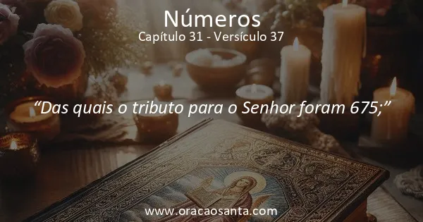 Números 31:37