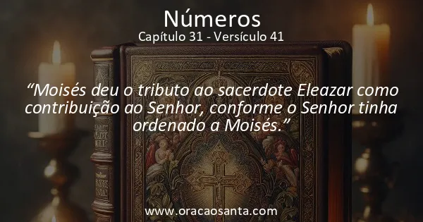 Números 31:41