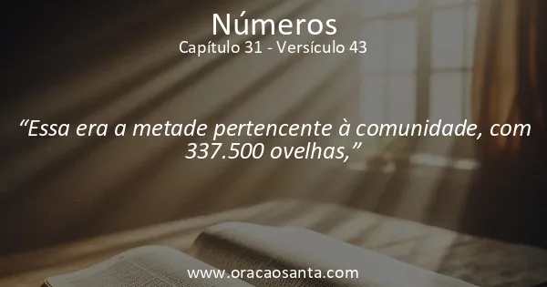 Números 31:43