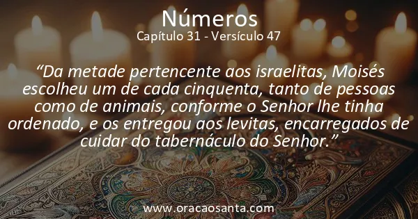 Números 31:47