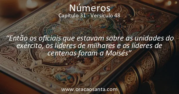 Números 31:48