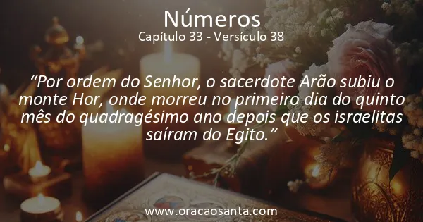 Números 33:38