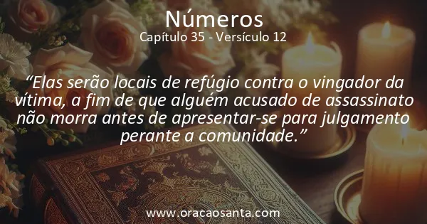 Números 35:12