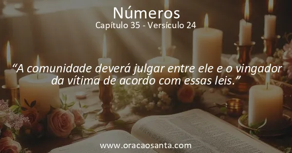 Números 35:24
