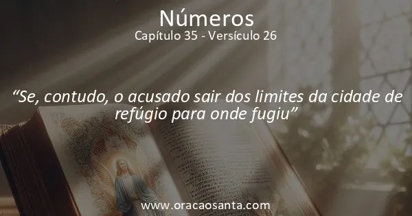 Números 35:26
