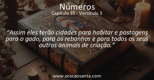 Números 35:3