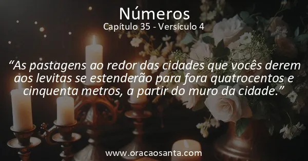 Números 35:4