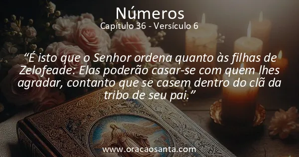 Números 36:6