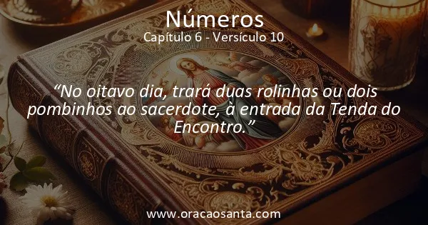 Números 6:10