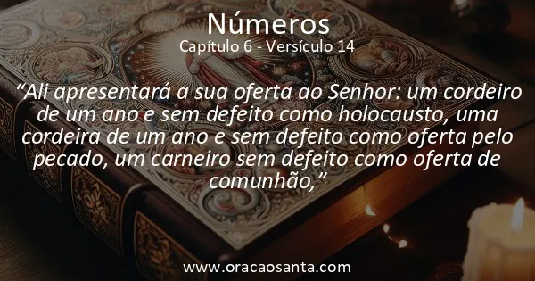 Números 6:14