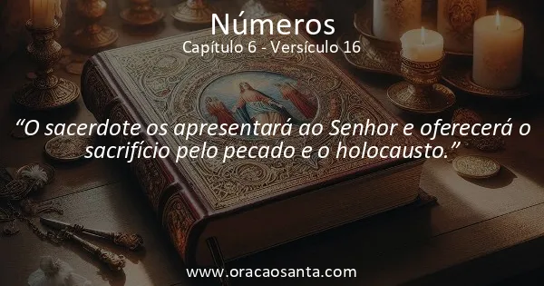 Números 6:16