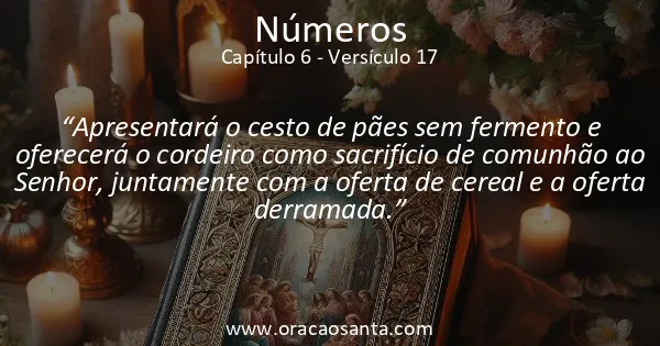 Números 6:17