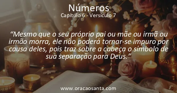 Números 6:7
