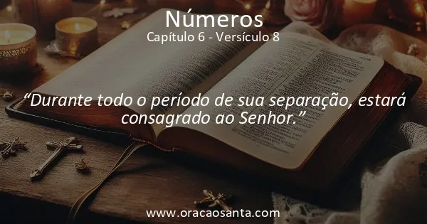 Números 6:8