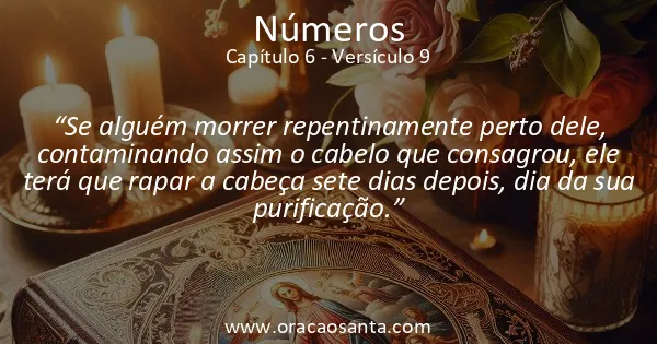 Números 6:9