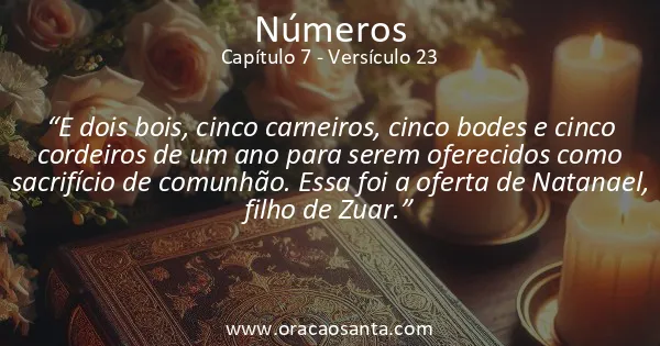Números 7:23