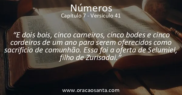 Números 7:41