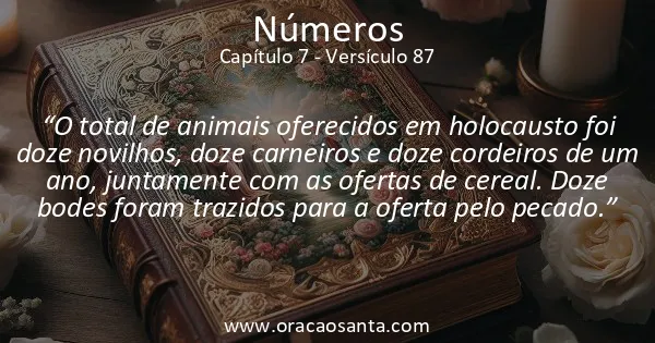 Números 7:87