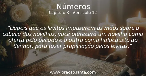 Números 8:12