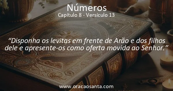 Números 8:13