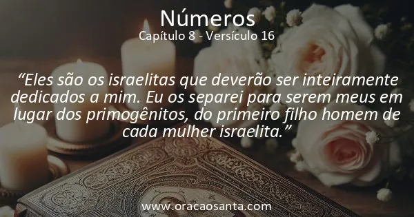 Números 8:16