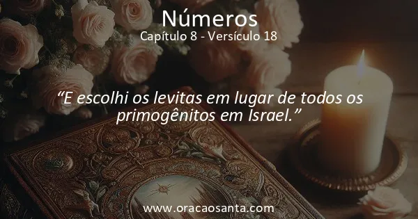 Números 8:18