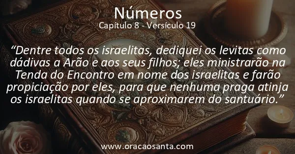 Números 8:19