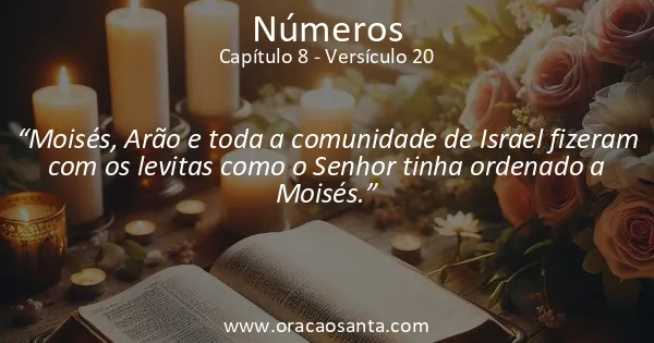 Números 8:20