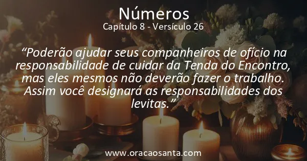 Números 8:26