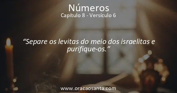 Números 8:6