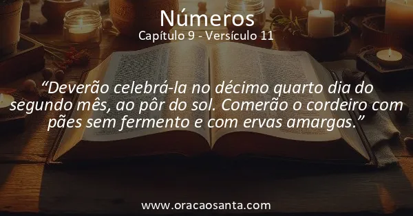 Números 9:11