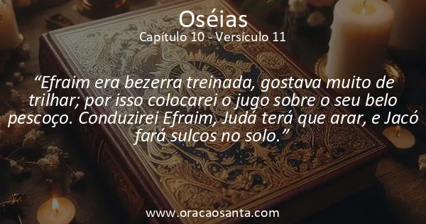 Oseias 10:11