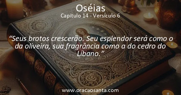 Oseias 14:6