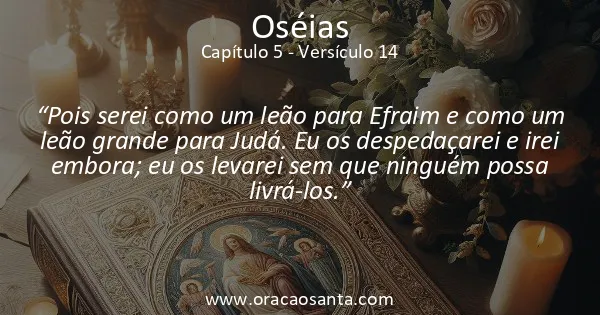 Oseias 5:14
