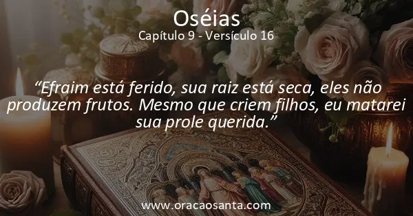 Oseias 9:16