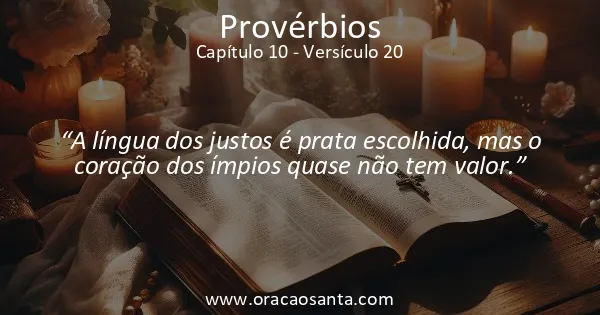 Provérbios 10:20