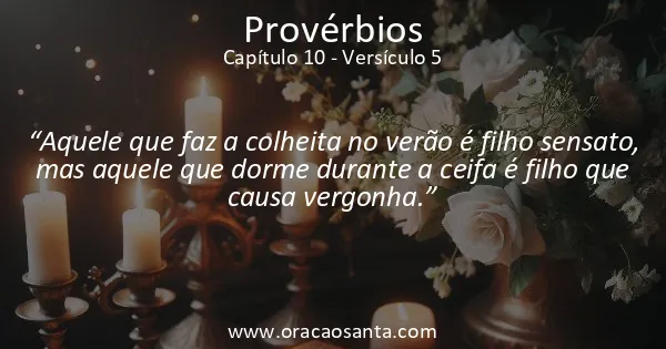 Provérbios 10:5