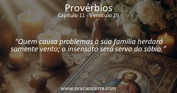 Provérbios 11:29