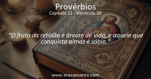 Provérbios 11:30
