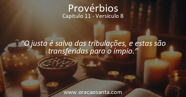 Provérbios 11:8