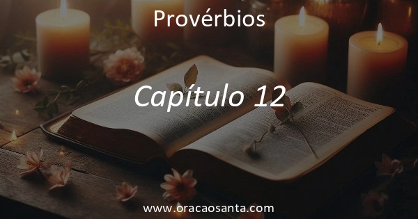 Provérbios 12