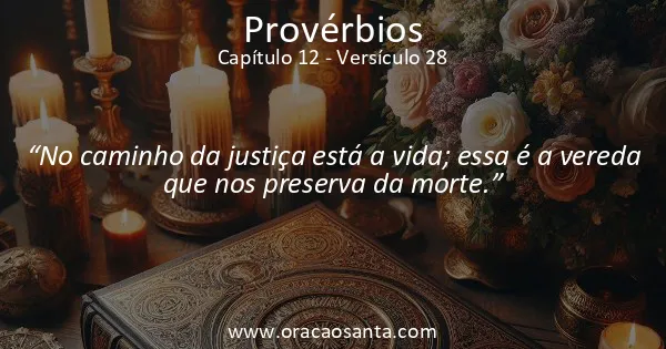 Provérbios 12:28